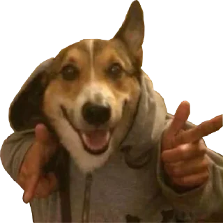 😎 emoji Stickers Memes 11 by Eɪᴅᴀɴ 〄 Telegram sticker 13 of 50