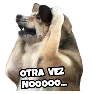 😎 emoji Stickers Memes Pack 05 by Eɪᴅᴀɴ 〄 Telegram sticker 16 of 50