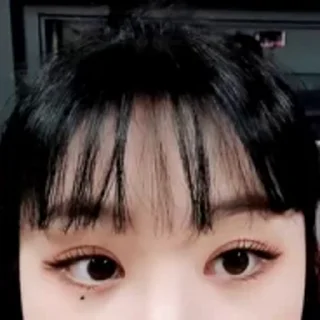 🦜 emoji Soojin by @aratickers Telegram sticker 6 of 35