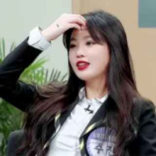 🦜 emoji Soojin by @aratickers Telegram sticker 16 of 35