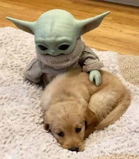 🦎 emoji baby yoda Telegram sticker 17 of 29