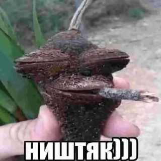 😎 emoji ништяк))) Telegram sticker 1 of 117