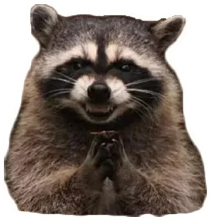 😈 emoji Habēmus más Raccoon Telegram sticker 23 of 120