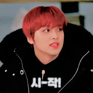 🐻 emoji ⟳ 𝐋ee 𝐇aechan @SUCKINGDlCK Telegram sticker 17 of 33