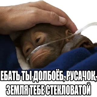 🐒 emoji ODUA Telegram sticker 7 of 96