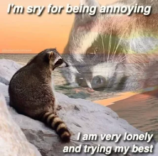 🦝 emoji Racoon 🦝 Telegram sticker 6 of 50