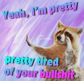 🦝 emoji Racoon 🦝 Telegram sticker 21 of 50