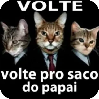 🐱 emoji Ai meu cu Telegram sticker 16 of 36