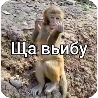 🫥 emoji йой Telegram sticker 22 of 73