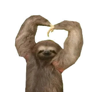 Sticker from Fun Sloth