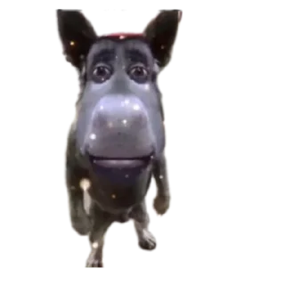🐶 emoji Caca Telegram sticker 7 of 18
