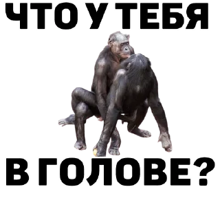 Sticker from Mafia Game - AML