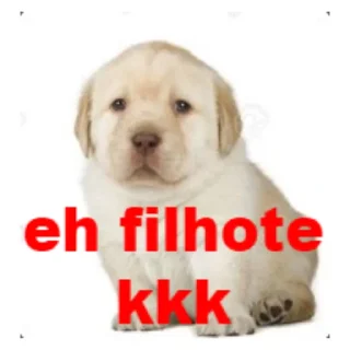 Sticker from eh mole lobo