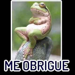 🐸 emoji Animais @igorpandy [Igor Kamandukaia] Telegram sticker 15 of 100