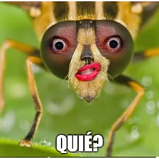 🐝 emoji Animais @igorpandy [Igor Kamandukaia] Telegram sticker 22 of 100