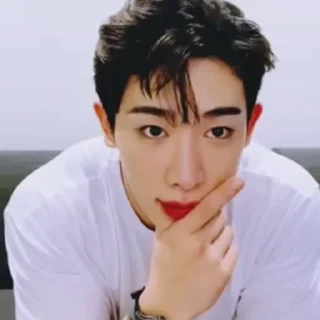 🦜 emoji WONHO by @aratickers Telegram sticker 12 of 22