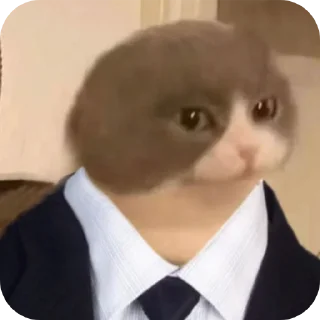 👔 emoji Melvin $MEL Telegram sticker 5 of 57