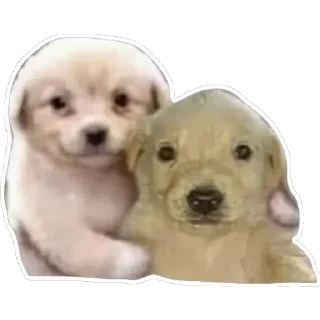 🤭 emoji Wa Telegram sticker 17 of 37