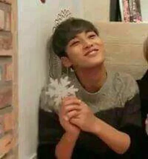 Sticker from 𝕸𝖆𝖓𝖚 as Mingyu de bolso.