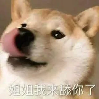😋 emoji 💗可玩可代 💗 满天星 @NB66888 Telegram sticker 16 of 55
