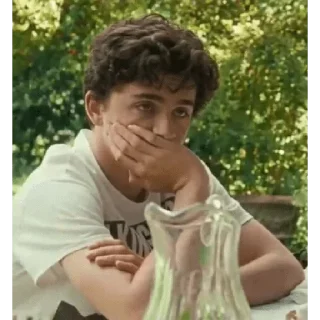 😶 emoji Timothée Chalamet 💖 Telegram sticker 18 of 62