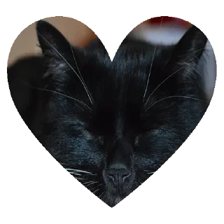 😴 emoji O GATO Telegram sticker 5 of 18