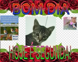 🐱 emoji babidi Telegram sticker 2 of 25