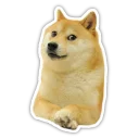 Sticker from Doge
