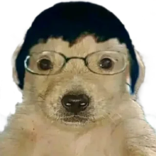 🤓 emoji Perros del Rubén Telegram sticker 5 of 14