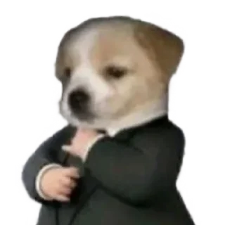👨‍⚖️ emoji Perros del Rubén Telegram sticker 11 of 14