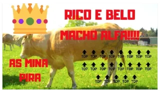 💪 emoji Lobo Solitário Telegram sticker 21 of 42
