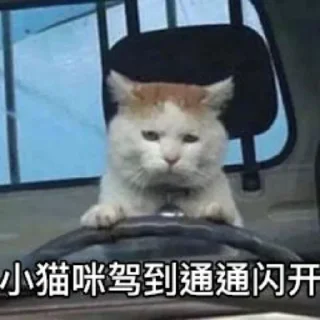 😔 emoji 猫猫表情包 👉 @biaoqing8 Telegram sticker 23 of 28