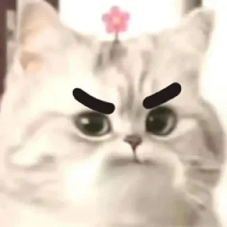 😐 emoji 猫猫表情包 👉 @biaoqing8 Telegram sticker 6 of 28