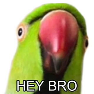 😄 emoji Bro Parrot Telegram sticker 1 of 15