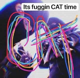 Sticker from Cat
