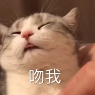 🦓 emoji 沙雕网友欢乐多 @damiewo Telegram sticker 24 of 56
