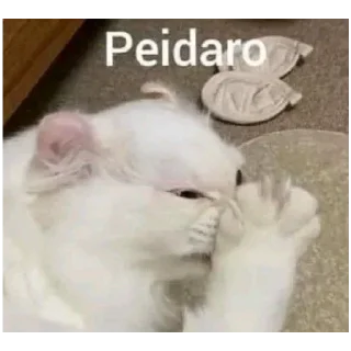 🐱 emoji Memes para pegar depressão Telegram sticker 8 of 49