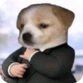 🐶 emoji Figs que a Eve gosta Telegram sticker 13 of 35