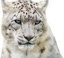 Sticker from Snep Lep Blep
