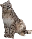 Sticker from Snep Lep Blep