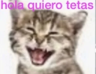 🌟 emoji Yo que se 2 @RyanGoslishOwO Telegram sticker 17 of 120