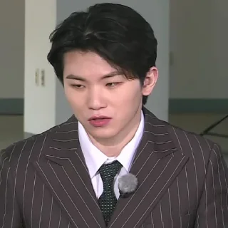 📈 emoji @STIKERSVT : Woozi CATCH STOCK #1 #2 Telegram sticker 17 of 33