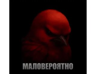 Sticker from BIRDS SWAG @fsticr <- канал
