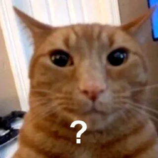 🤨 emoji Animals by @Caiqu33 Telegram sticker 12 of 40