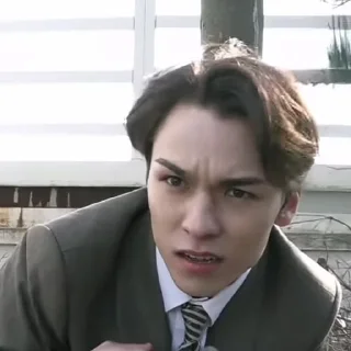 📝 emoji @STIKERSVT : Vernon CATCH STOCK #1 #2 Telegram sticker 15 of 28
