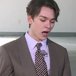 📝 emoji @STIKERSVT : Vernon CATCH STOCK #1 #2 Telegram sticker 9 of 28