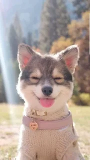😊 emoji Tlg 🅱 Side 2 Telegram sticker 5 of 120