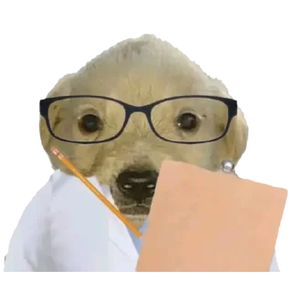 👓 emoji Denle Yupi A @nokasvip Telegram sticker 10 of 120