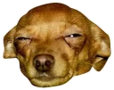 👀 emoji Memes por eio Telegram sticker 19 of 37