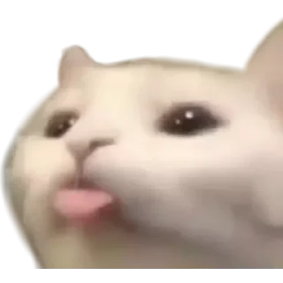 😝 emoji Mauri-pollo Telegram sticker 12 of 30